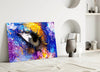 Pupil Glass Wall Art by Insigneart USA