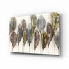 Feathers Glass Wall Art by Insigneart USA