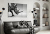 Black Rhino Glass Wall Art by Insigneart USA