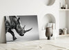 Black Rhino Glass Wall Art by Insigneart USA