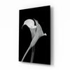Flower Glass Wall Art by Insigneart USA