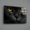 Cat Glass Wall Art by Insigneart USA