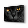 Cat Glass Wall Art by Insigneart USA