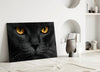 Cat Glass Wall Art by Insigneart USA