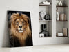 Lion Glass Wall Art by Insigneart USA