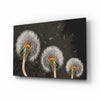 Dandelions Glass Wall Art by Insigneart USA