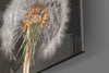 Dandelions Glass Wall Art by Insigneart USA