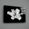 Lilies Glass Wall Art by Insigneart USA