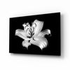 Lilies Glass Wall Art by Insigneart USA