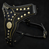 The "Maximus" harness V2 by Bestia Dog Gear