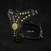 The "Maximus" harness V2 by Bestia Dog Gear