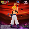 Dragon Ball Z Match Makers Super Saiyan Gogeta (vs. Janemba) by THE MIGHTY HOBBY SHOP