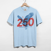 America 250 Eagle Graphic Tee – 2026 Patriotic Anniversary Unisex Shirt by Hey Jude Graphic Tees