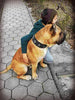 "Maximus Silver" BIG dog SET- Harness - collar - lead. Black by Bestia Dog Gear