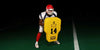 HD104 - Contour Body Shield