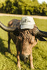 Cowboy Roper Trucker Hat by Wild Junkie