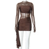 Women's Mesh See-through Long Sleeve Slim Fit Dress