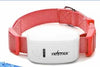 Cat GPS Tracker Locator Device for Pets by My Store