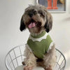 Autumn And Winter Warm And Comfortable Dog Sweater Clothes Pet Cat Clothing Flower Blossom Sweater Collection by My Store