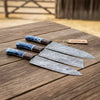 3-Piece Damascus Chef Knife Set Resin Wood Handle with Blue Resin and Rosewood Handles by JW SteelCrafts