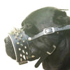 The "Danger" muzzle by Bestia Dog Gear