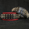 "Danger" collar by Bestia Dog Gear