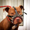 The "Danger" muzzle by Bestia Dog Gear