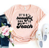 It's A Beautiful Day To Teach T-shirt by T-Shirt Crazed