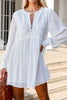 Lace Detail Tie Neck Mini Dress