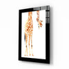 Curious Giraffe Glass Wall Art by Insigneart USA