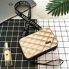 Delightful Designer Women Handbags For Women And Girls Small Shoulder Bag Women's Famous Clutch Bag by Stevvex