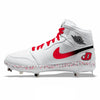"Dickinson College" Jordan 1 Retro Cleats by Stadium Custom Kicks