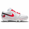 "Dickinson College" Jordan 1 Retro Cleats by Stadium Custom Kicks