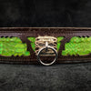The ''Venom'' collar by Bestia Dog Gear