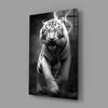 Tiger's Wrath Glass Wall Art || Designer Collection by Insigneart USA