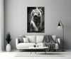 Tiger's Wrath Glass Wall Art || Designer Collection by Insigneart USA