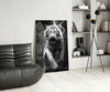 Tiger's Wrath Glass Wall Art || Designer Collection by Insigneart USA