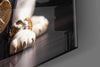 Puppy Vogue Glass Wall Art|| Designer's Collection by Insigneart USA
