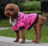 Zippered Cotton Padded Clothes For Pets by My Store