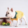 Dog Clothes by My Store