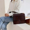 Elegant Modern Women and Girls New Luxury Pu Leather Messenger Bags For Girls And Ladies Handbags for Women Gifts by Stevvex