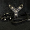 "EROS" BIG dog SET- Harness - collar - lead. All Black by Bestia Dog Gear