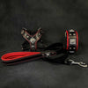 "EROS" Small to Medium dog SET - Harness - collar - lead Black&Red by Bestia Dog Gear