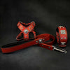 "EROS" Small to Medium dog SET - Harness - collar - lead. Red by Bestia Dog Gear