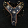 The "Eros" harness Black & Orange by Bestia Dog Gear