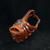 ''Eros'' Basket Muzzle BROWN by Bestia Dog Gear