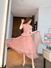 Slim Fit Waist-controlled Top Mesh Pleated Mid-length Dress Set