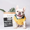 Dog Clothes by My Store