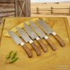 5 Piece Damascus Kitchen Knife Set - Walnut Wood Handle Professional Cooking Knife Set by JW SteelCrafts