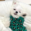Knitted Dog Leopard-print Sweater Small Dog Pet Dog Cat Clothes by My Store